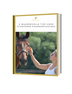 6 tips paardencoach
