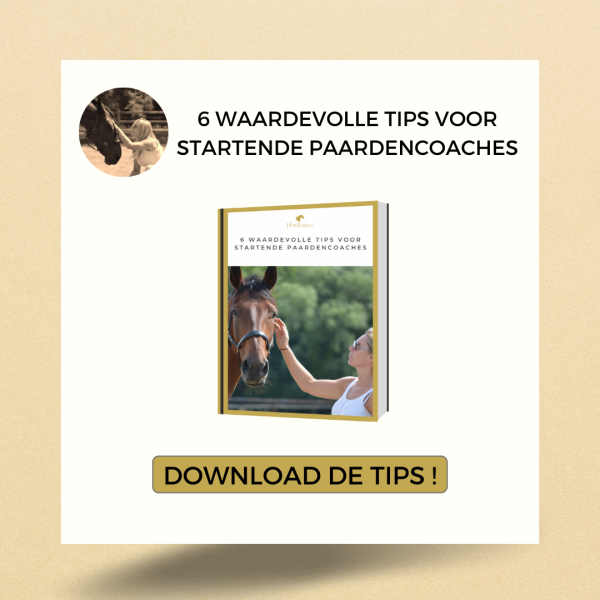 pop up 6 tips paardencoach