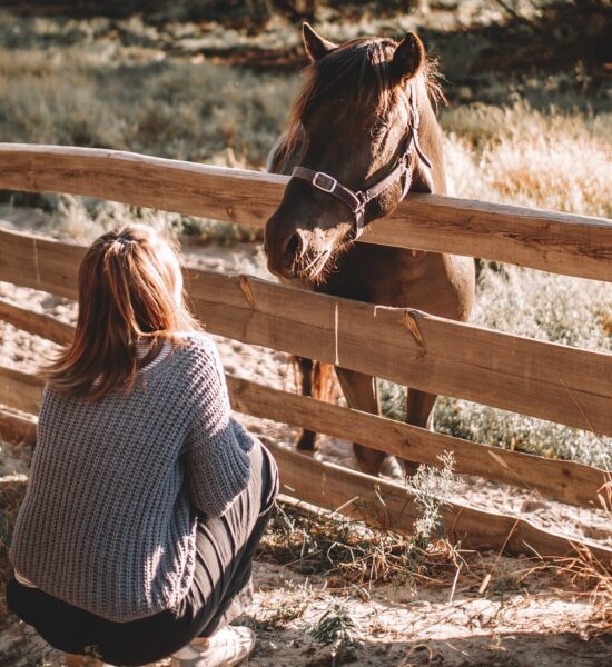 horse, girl, ranch-6735455.jpg