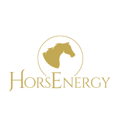 Logo HorsEnergy zonder subtitel
